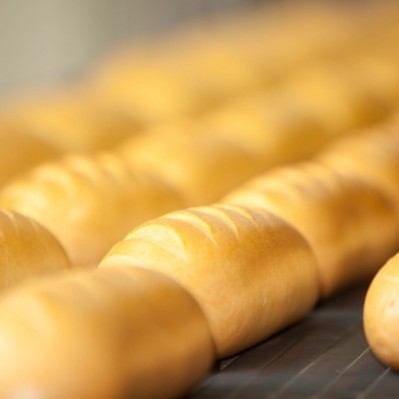 Continuous mixing creates a very homogeneous dough.