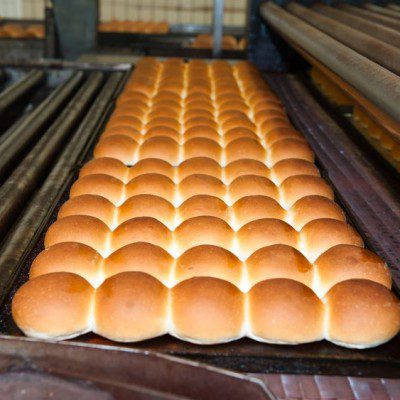 buns of bread being made in a factory.